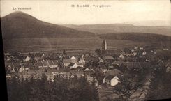 VINTAGE POSTCARD Saales View