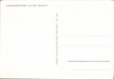 CPA Schwarzwald Trachten Aus Dem Gutachtal