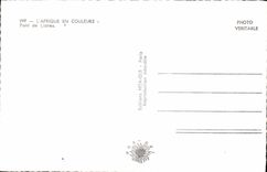 MODERN CARD Africa Colors Bridge Of Lianas