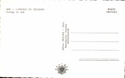 MODERN CARD Africa Colors Passage Of the Ford