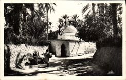 CPM Scenes Et Types Marabout Dans I'Oasis