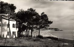 MODERN CARD Holy Marguerite Seen On the Sea