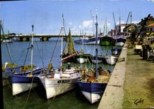 CPM Saint Gilles Sur Vie Le Port Et Le Pont Bateaux