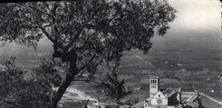 CPM Assisi Basilica Di Francesco e campagna Umbra 