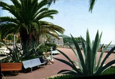 CPM Golfo Del Tigullio Rapallo Scorcio Del Lungoniare