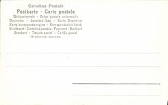 CPA Firenze Raffaello Sanzio Madonna del Cardellino