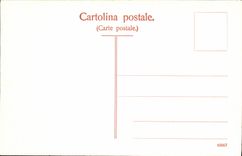 VINTAGE POSTCARD Lago Maggiore Pallanza Vista dall Insulated Veined