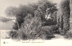 CPA Isola Studio Di Vegetozione