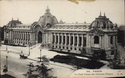 CPA Paris Le Petit Palais Des Champs Elysees