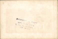 VINTAGE POSTCARD Paris Large Alley Of Tileries