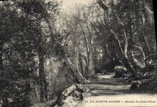 CPA La Sainte Baume Montee A Saint Pilon