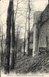 CPA Provins Les Echauguettes Des Fortifications pres le Trou au chat