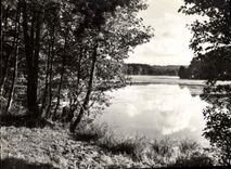 CPM Environs De Pierrefonds Etang De St Pierre