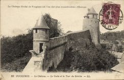 VINTAGE POSTCARD Ferns the Castle Guibe And the Tower Of the Goblin