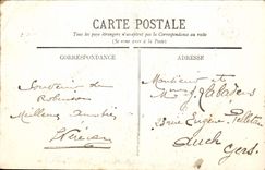 VINTAGE POSTCARD Robinson Interior Of the True Tree