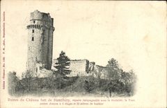 VINTAGE POSTCARD Ruins of the castle of Montlhery