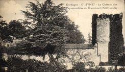 CPA Eymet Le Chateau Des Teyssonnieres De Grammont