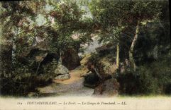 CPA Fontainebleau La Foret Les Gorges De Franchard