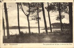 CPA Hossegor Vue Generale Sur Le Lac A Travers Les Pins