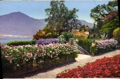 CPA Villa Carlotta Giardino