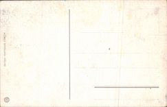 VINTAGE POSTCARD Luzern Schweizerhofquai