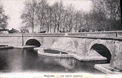 CPA Toulouse Les Ponts Jumeaux