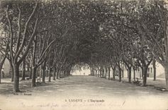 VINTAGE POSTCARD Lodeve the Esplanade