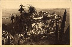 VINTAGE POSTCARD the rock of Monaco of the exotic Gardens