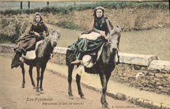POSTAL de la VENDIMIA los Pyrenees campesinos que van al folklore de la mula del asno del mercado