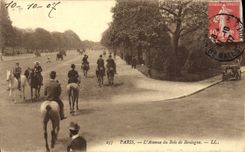 CPA Paris L'Avenue du Bois de Boulogne Cheval