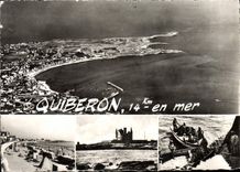 CPM Quiberon Vue Aerienne La Plage Chateau de la Pointe Arrivee des sardines a Port Maria 