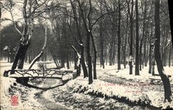 CPA Lyon Parc de la Tete d'Or