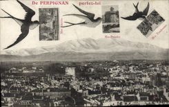VINTAGE POSTCARD From Perpignan Carry Him