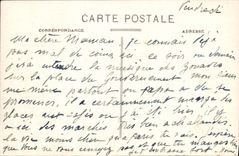 CPA Alger Jardin d'Essai Allee des bambous