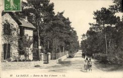 VINTAGE POSTCARD La Baule Entered of the Wood of Love