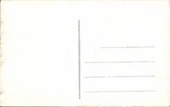 VINTAGE POSTCARD Bayonne Nive and Bridges