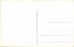 VINTAGE POSTCARD Bayonne the Mayou Bridge and the Place of freedom