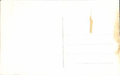 Casas de los Hurdy-gurdies de la plata de níquel de la POSTAL de la VENDIMIA tomadas debajo del puente viejo