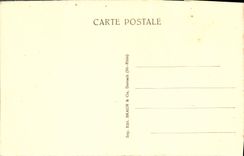 Baño de Estrasburgo de la POSTAL de la VENDIMIA con las plantas