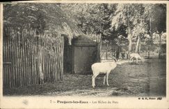 VINTAGE POSTCARD Pougues Water Hinds of the Park
