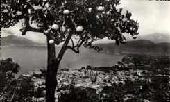 CPM Sorrento Panorama da S Antonio