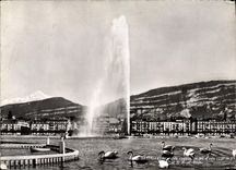 CPM Geneve Les cygnes Le jet d'eau et le Mont Blanc 