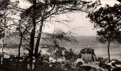 MODERN CARD Lavandou Faviere