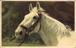 CPA Cheval