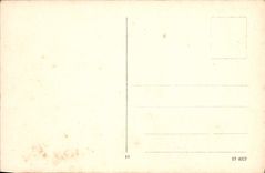 VINTAGE POSTCARD Frankfurt Palmengarten