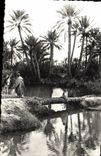 VINTAGE POSTCARD Bridge Of Palm tree In I' Oasis