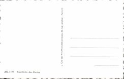 VINTAGE POSTCARD Gathering Of Dates