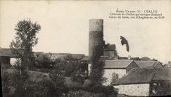 VINTAGE POSTCARD Chalus Castle De Chalus Richard Lion-hearted