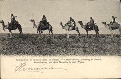 CPA Chameliers En Marche Dans Le Desert 