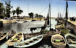 MODERN CARD Riva Bleated the Port Boats